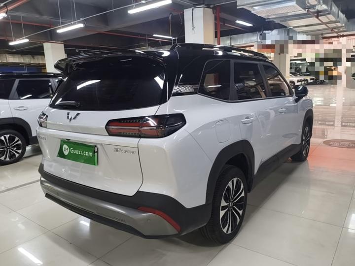 560 EV 2026 125km Luxury photo 4