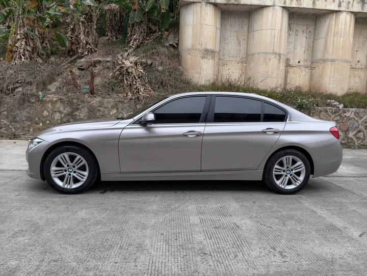 3 Series 2016 320Li Progressive photo 4