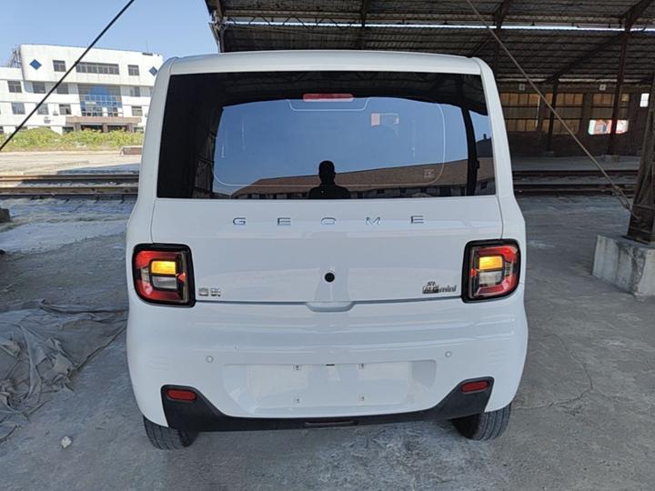 2023 Panda mini 200km Endurance Bear photo 3