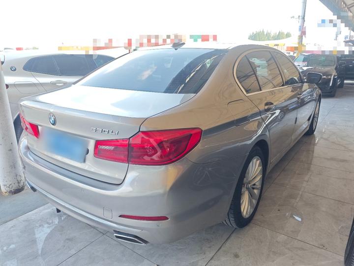 5 Series 2019 530Li Leading Luxury photo 6