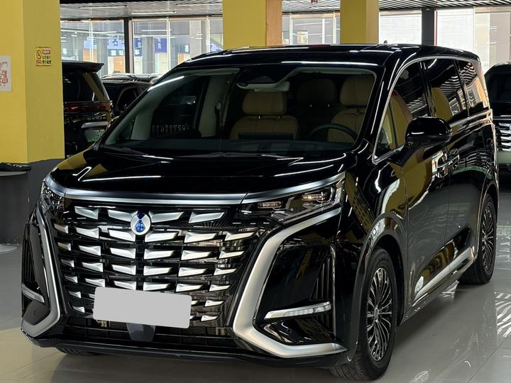 D9 2024 DM-i 980 AWD Noble