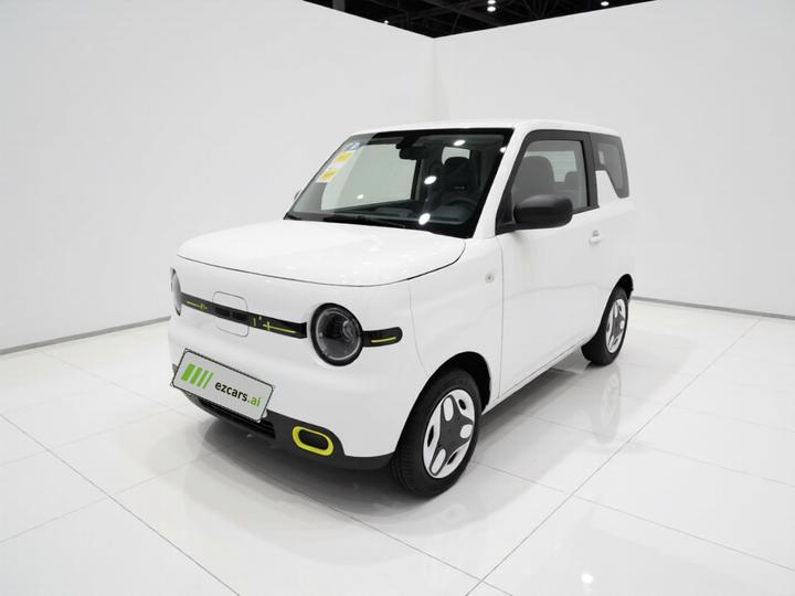 2025 Panda mini 210km Yuan
