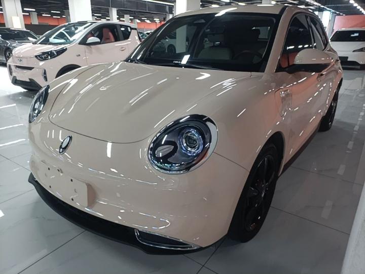 Good Cat 2024 401km Luxury