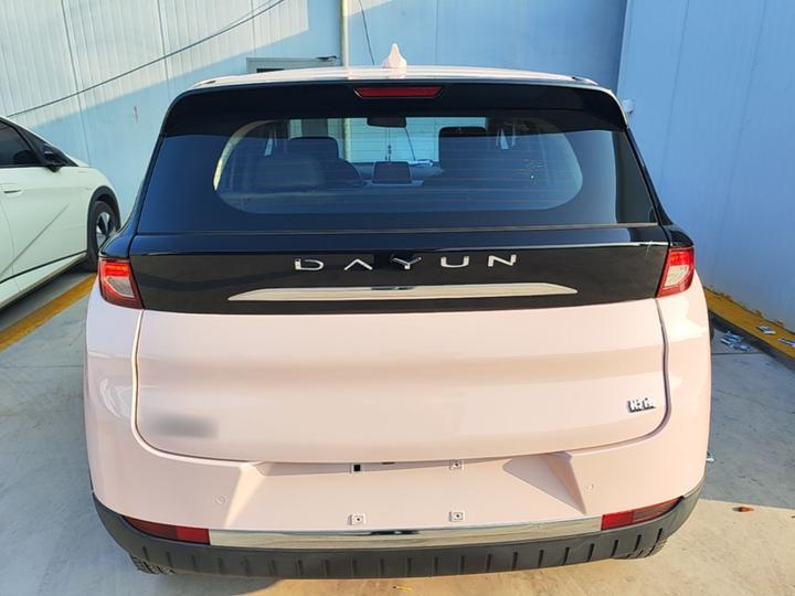 Dayun Yuehu 2023 300 Standard photo 5