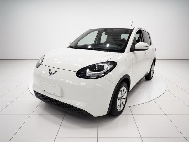 Wuling Bingo 2023 333km