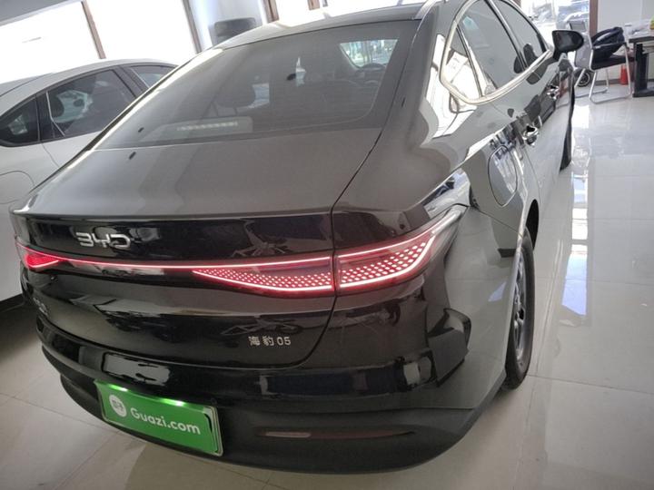 Seal 05 DM-i 2025 DM-i ADAS 55KM Luxury photo 5