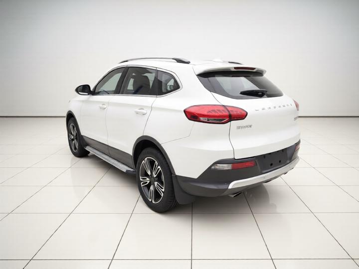 Liebao CS10 2016 2.0T AT Luxury photo 4