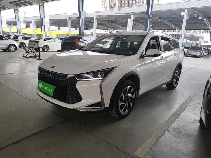 Yixuan GS 2021 230T AT