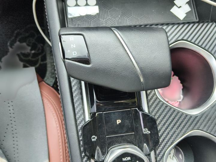 Eado 2022 PLUS NE 1.4T GDI DCT Flagship photo 6