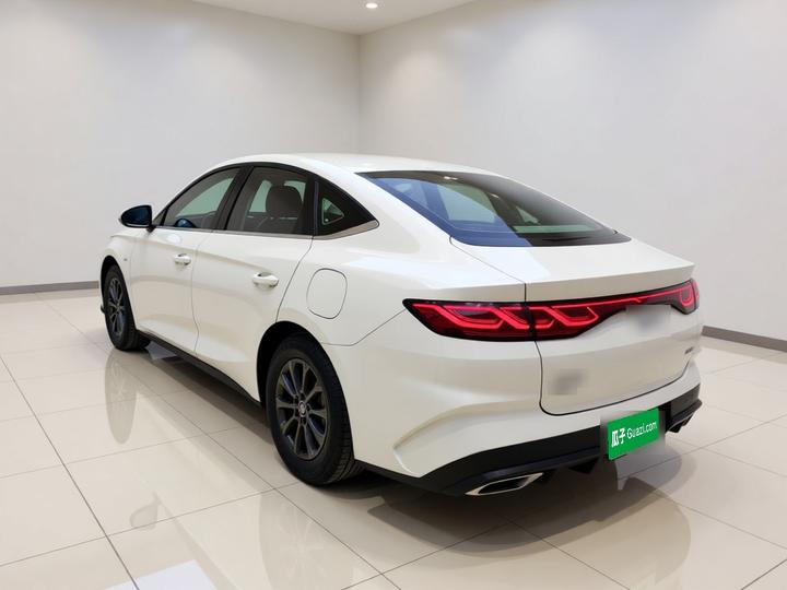 Qin L 2024 DM-i 80KM Leading photo 4