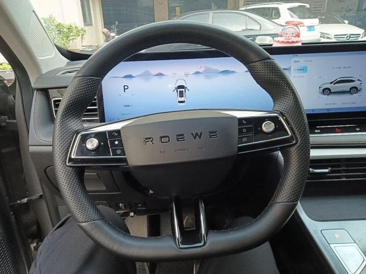 RX5 EV 2023 eRX5 photo 6