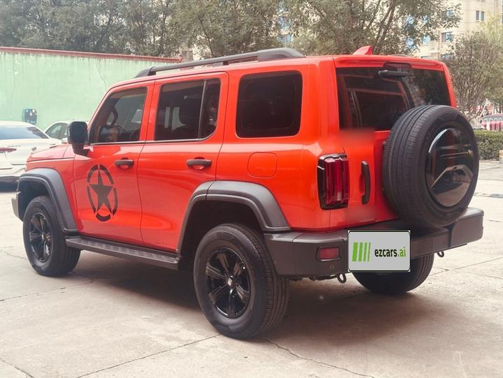 300 2021 Off-road 2.0T Conqueror photo 4