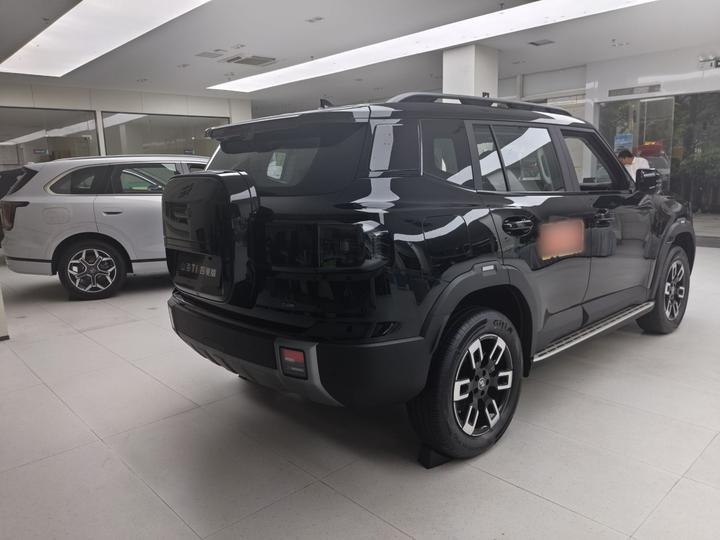 Shanhai T1 2026 150km XWD Discovery ADAS photo 4