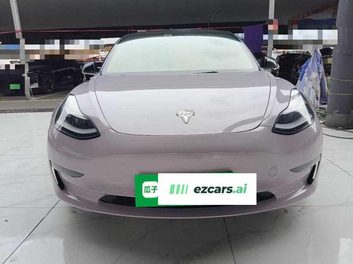 Model 3 2021 Performance AWD photo 2