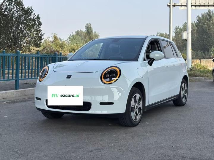 Yiwei 3 2024 330km Lite