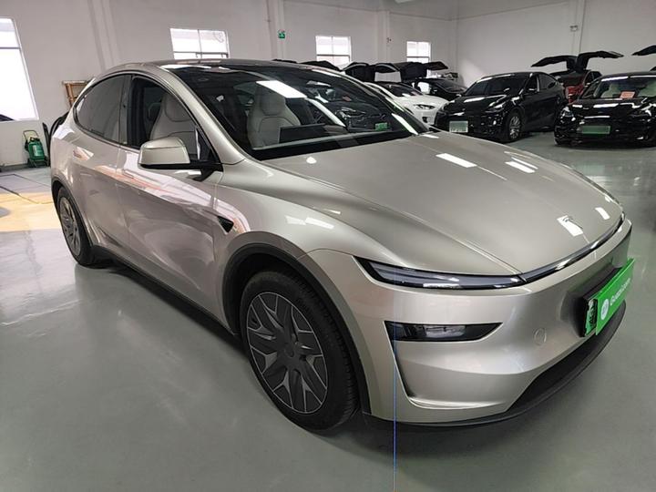 Model Y L 2025 Long Range AWD photo 3