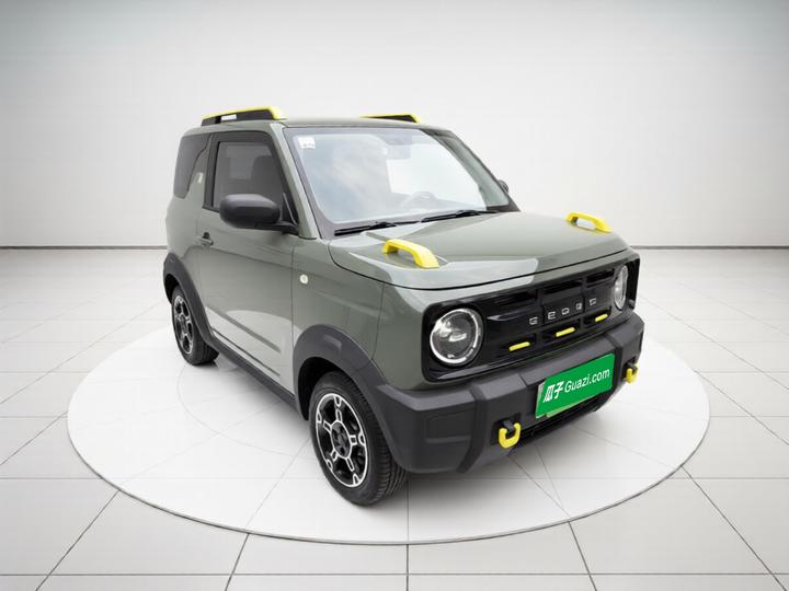 2025 210km Panda photo 3
