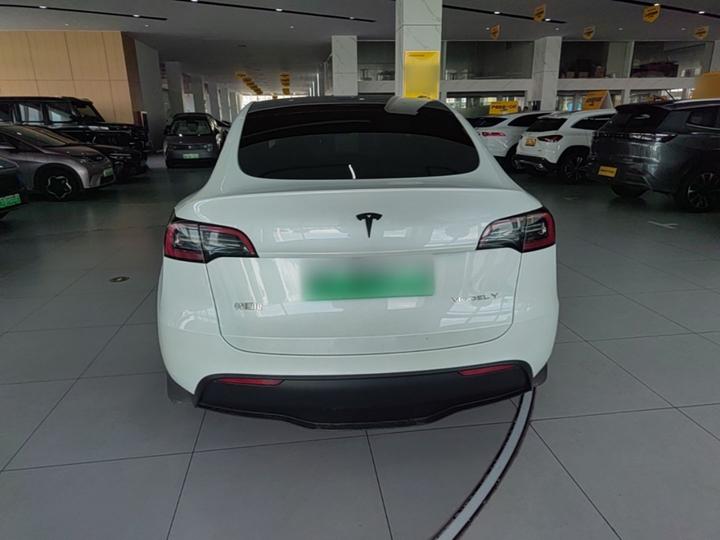 Model Y 2024 RWD photo 3
