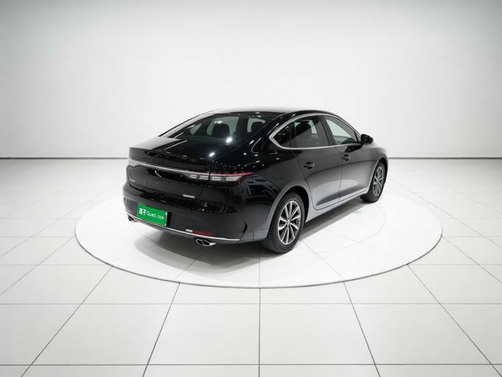 Destroyer 05 2024 Honor DM-i 55KM Luxury photo 6