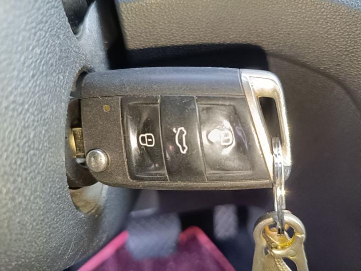 Lamando 2019 230TSI DSG China V photo 8