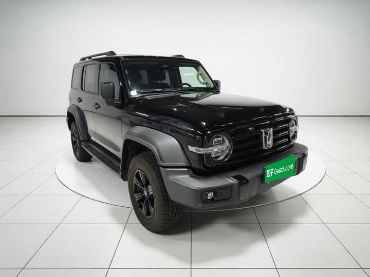 300 2021 Off-road 2.0T Conqueror photo 3
