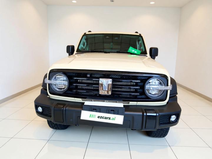 300 2025 2.0T Petrol Conqueror photo 2