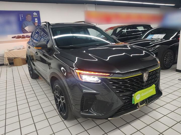 RX5 EV 2021 ePLUS Luxury photo 3