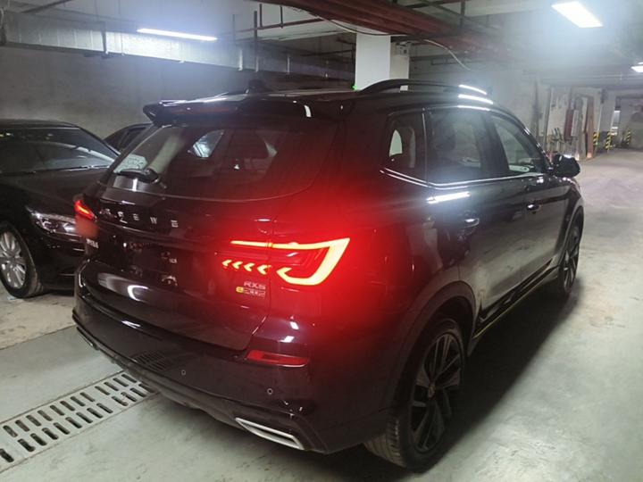 RX5 EV 2020 ePLUS Luxury photo 4