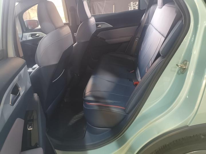 E Firefly 2022 401KM 4-Seater photo 5