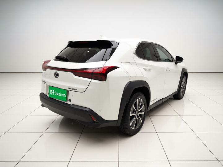 UX EV 2020 300e photo 6