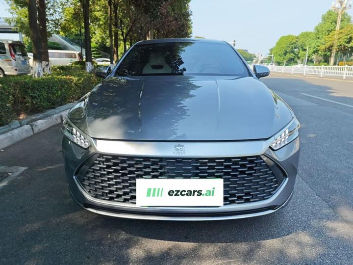 Qin PLUS 2024 Honor DM-i 55KM Leading photo 2