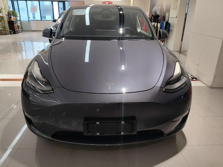 Model Y 2021 Long Range AWD photo 2