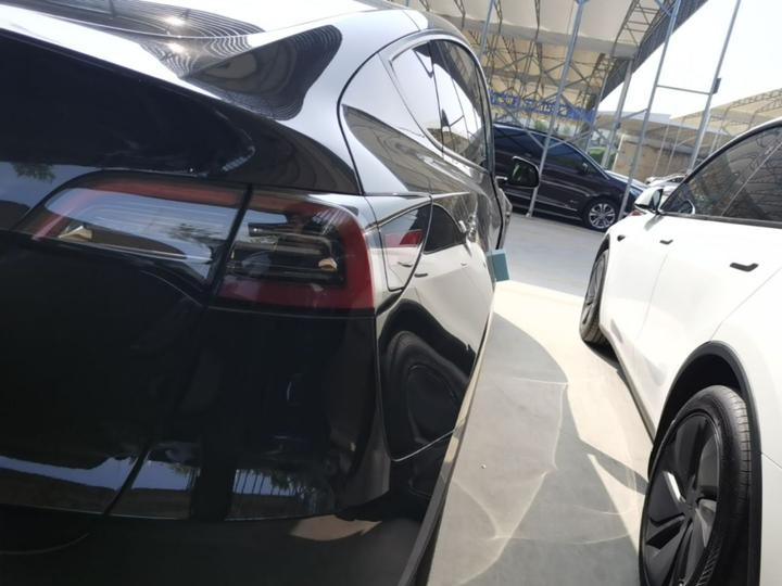 Model Y 2024 RWD photo 7
