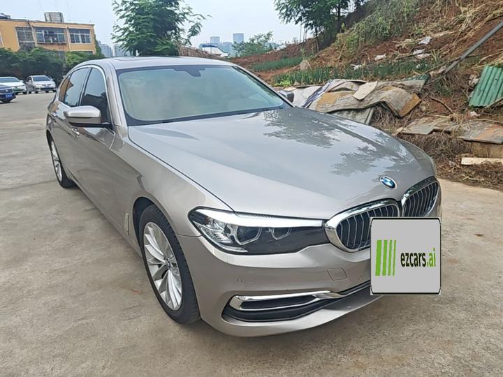 5 Series 2020 525Li Luxury photo 5