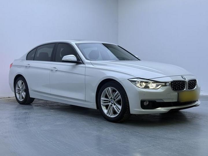 3 Series 2018 318Li photo 3