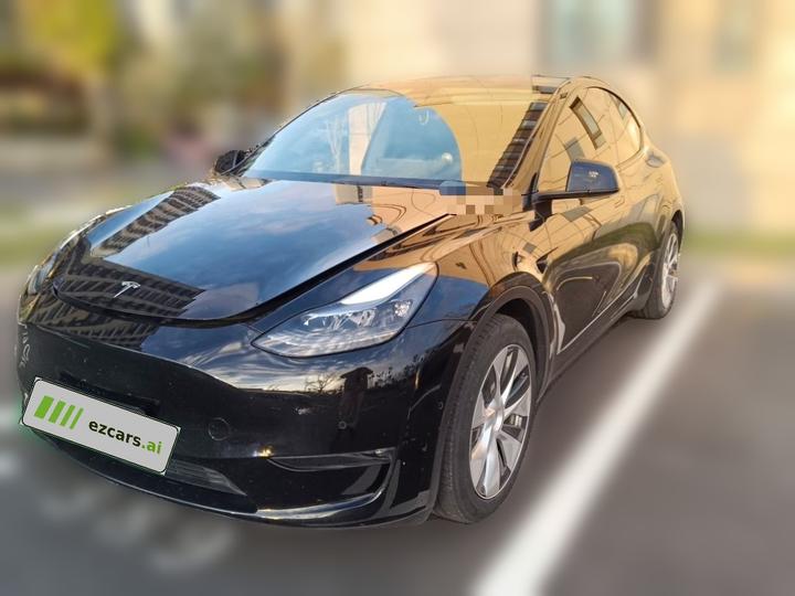 Model Y 2021 Standard Range RWD