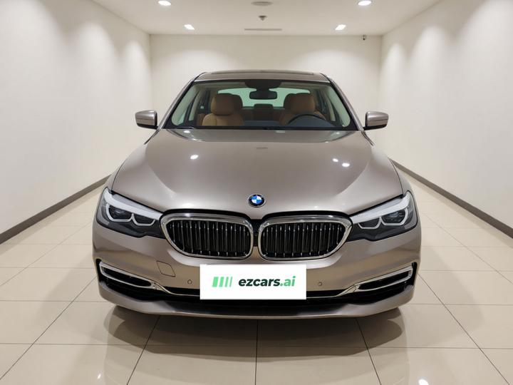 5 Series 2019 530Li Leading Luxury photo 2
