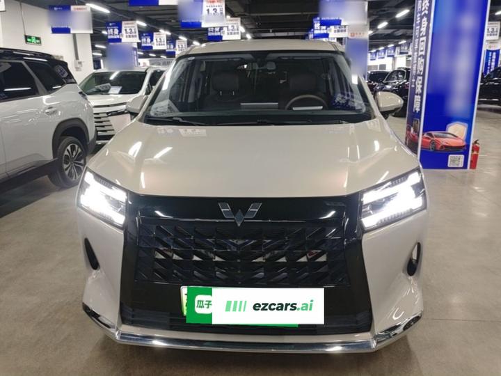 730 EV 2025 125km Luxury photo 2
