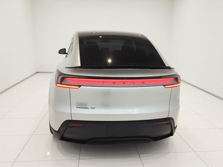 Model Y L 2025 Long Range AWD photo 3