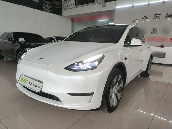 Model Y 2021 Standard Range RWD