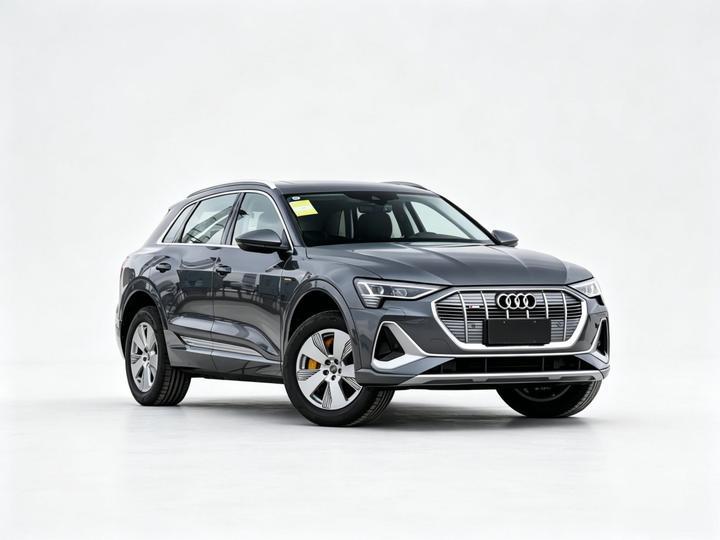 e-tron 2021 50 quattro Luxury photo 2