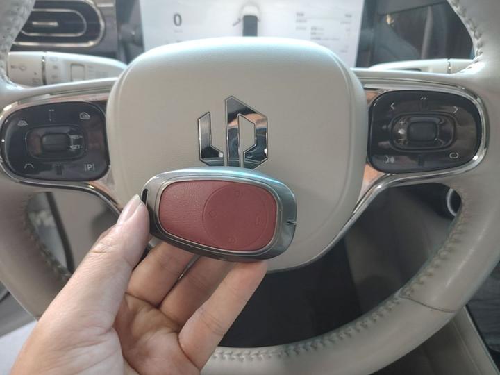Leapmotor C11 2021 Luxury photo 8