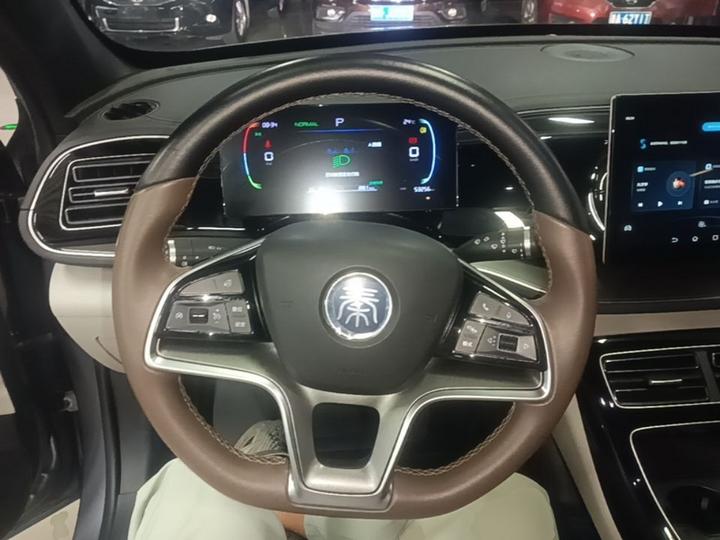 Qin PLUS 2023 Champion EV 510KM Leading photo 6