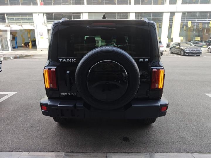 300 2021 Off-road 2.0T Conqueror photo 5