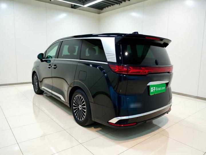 D9 2024 DM-i 980 AWD Noble photo 4