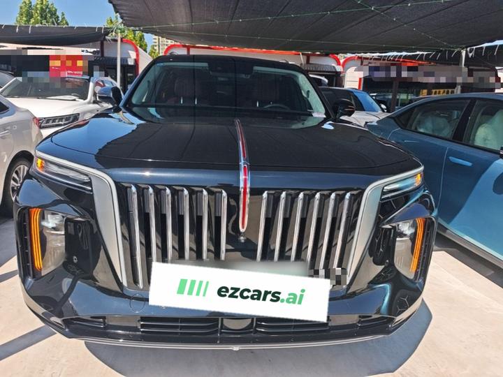 E-HS9 2021 460km 6-Seater photo 2