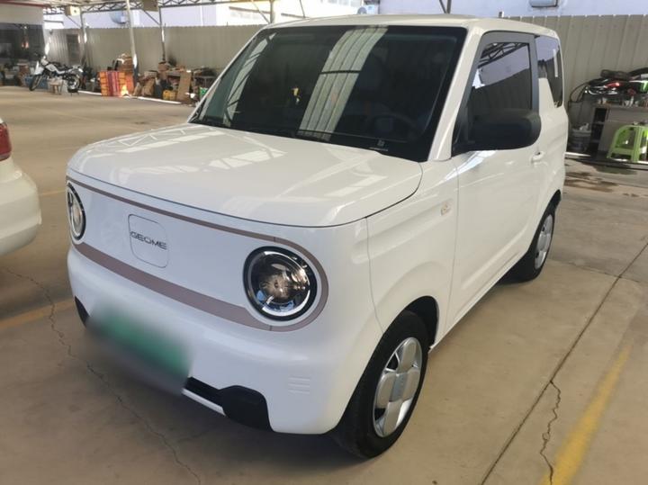 2024 Panda mini 200km Endurance Bear