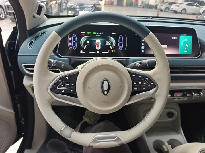 Good Cat 2023 401km Standard Range Premium LFP photo 6
