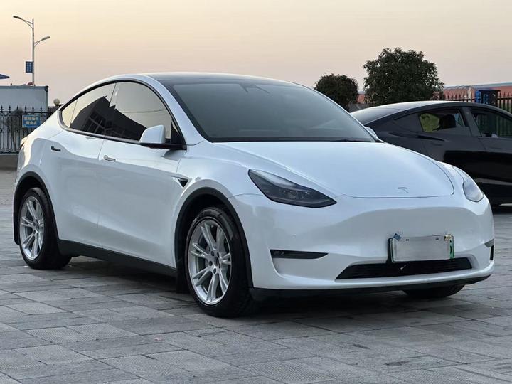 Model Y 2021 Standard Range RWD photo 2