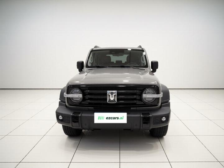 300 2021 Off-road 2.0T photo 2